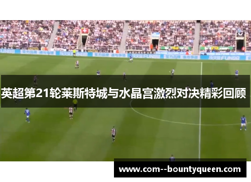 英超第21轮莱斯特城与水晶宫激烈对决精彩回顾 